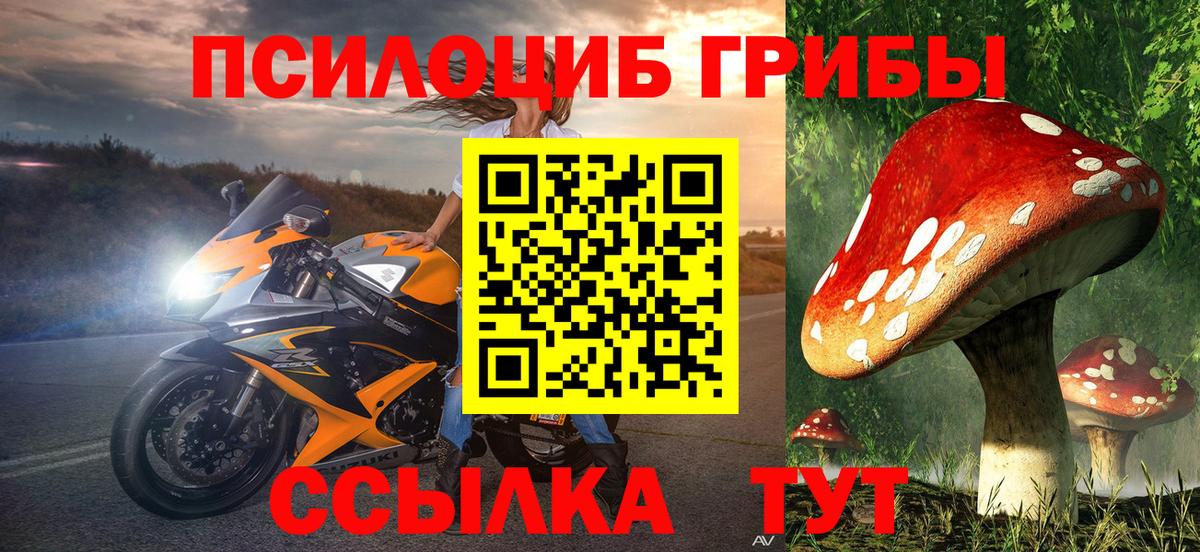 Галлюциногенные грибы Cubensis Видное