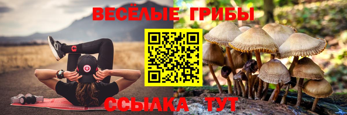 Галлюциногенные грибы Psilocybine cubensis  Вход с VPN  как найти   Видное 