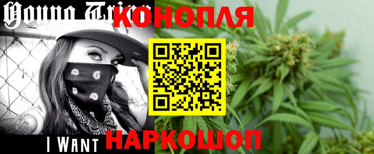 Видное  Канабис план  Конопля LSD WEED  Вход с VPN  Бошки марихуана ГИДРОПОН  МАРИХУАНА индика 